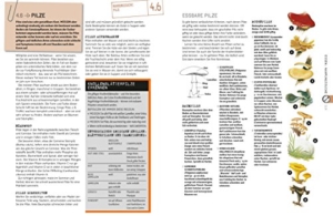 Der große NATIONAL GEOGRAPHIC Survival Guide -