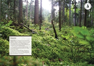 DMAX Survival-Guide für echte Kerle: Das ultimative Outdoor-Handbuch von Joe Vogel -