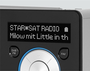 TechniSat DIGITRADIO 1 / Digital-Radio Made in Germany (klein, tragbar, für Outdoor geeignet) mit Lautsprecher, OLED-Display, DAB+, UKW, Favoritenspeicher und leistungsstarkem Akku - schwarz/silber -